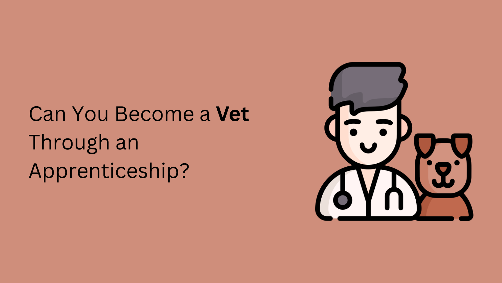 Can You Become a Vet Through an Apprenticeship