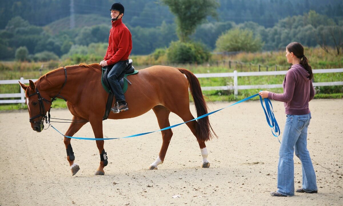 Horse Riding Instructor Apprenticeship